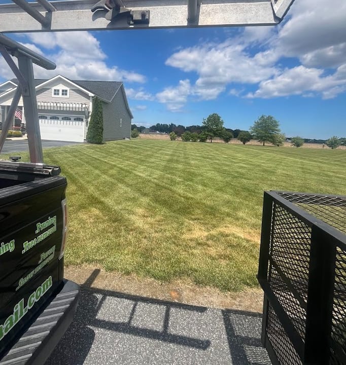 Professional Grass Cutting