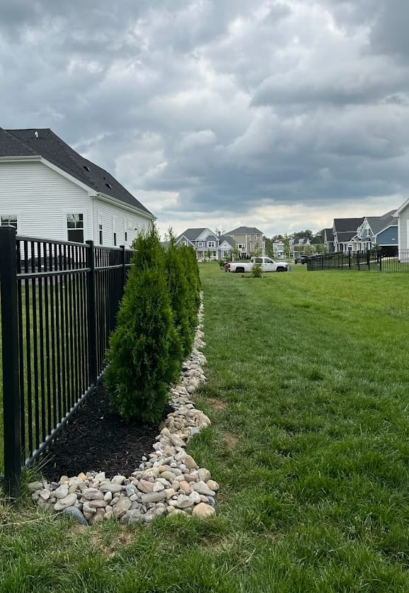 Landscape Design & Plant Installation